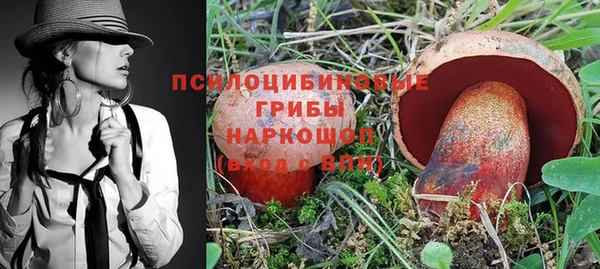 дживик Алексеевка