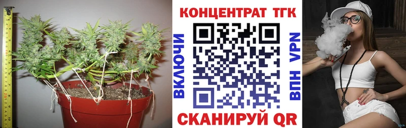 цены   Ивдель  ТГК концентрат 