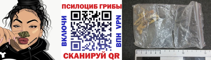 что такое   Ивдель  Псилоцибиновые грибы Psilocybe 