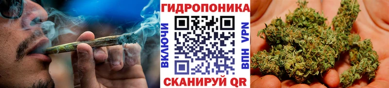 Каннабис Ganja  Ивдель 